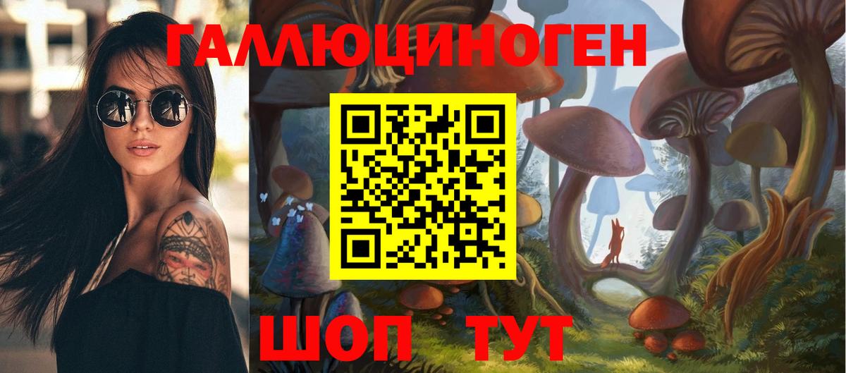 Галлюциногенные грибы прущие грибы Истра